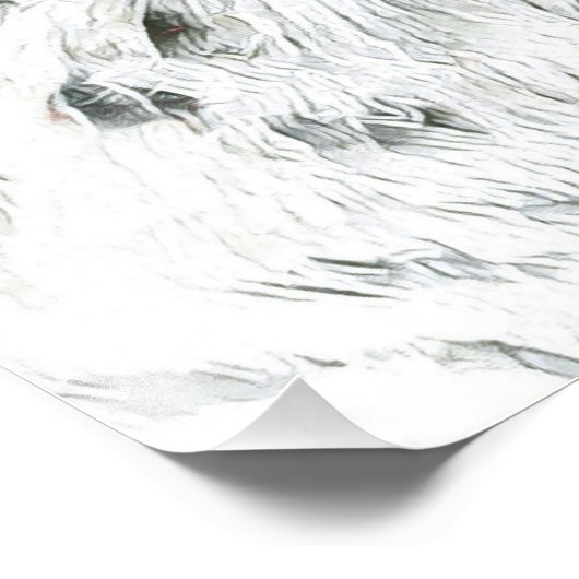 Mietze Fotodruck (Ecke)