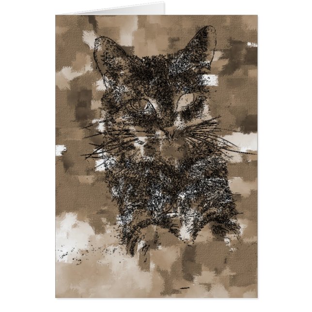 Miezekatze (Vorne)