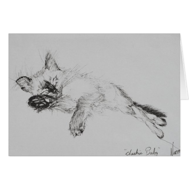 Miezekatze 'Baby (Vorderseite (Horizontal))