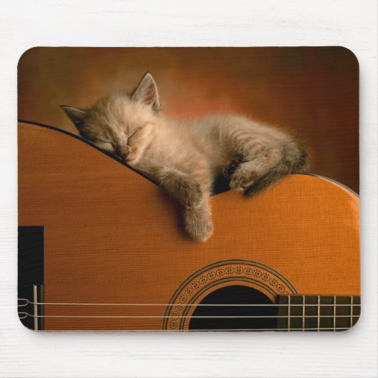 Miezekatze, die auf Gitarre Mousepad schläft (Vorne)