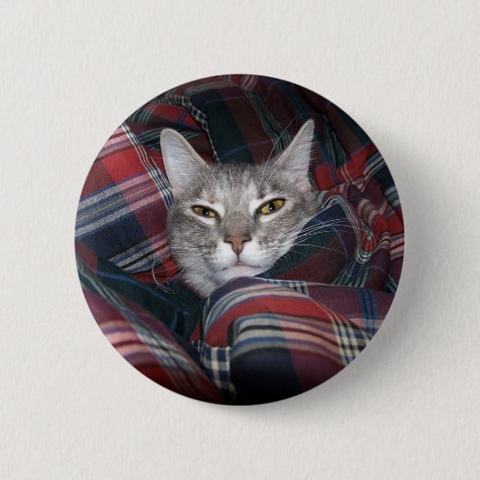 Miezekatze erhält cozy. button (Vorderseite)