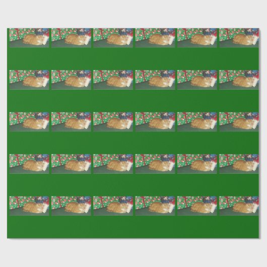 Miezekatze für Weihnachten Geschenkpapier (Flach)