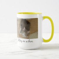 Miezekatze in einem Kasten