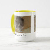 Miezekatze in einem Kasten Tasse (Vorderseite Links)