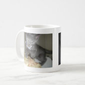 Miezekatze Kaffeetasse (Vorderseite Links)