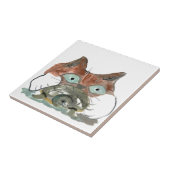 Miezekatze-Katze erfasst seinen Schildkröte-Kumpel Fliese (Seite)