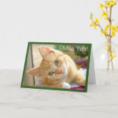 Miezekatze-Katze - Kätzchen-Fräulein You Card Karte (Gelbe Blume)