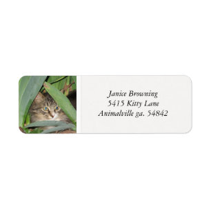 Miezekatze-Katzen-Adressen-Etikett