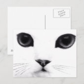 Miezekatze-Katzen-Eigenschaften Postkarte (Vorne/Hinten)