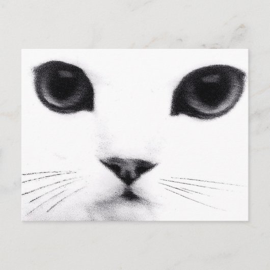 Miezekatze-Katzen-Eigenschaften Postkarte (Vorderseite)
