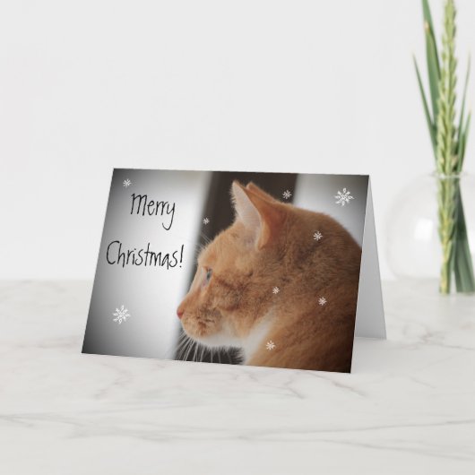 Miezekatze-Katzen-frohe Weihnachten (Vorderseite)