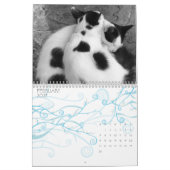 Miezekatze-Katzen von Griechenland Kalender (Feb 2027)