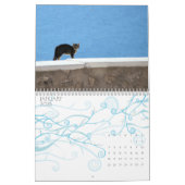 Miezekatze-Katzen von Griechenland Kalender (Jan 2026)