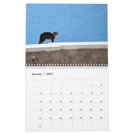 Miezekatze-Katzen von Griechenland Kalender (Jan 2027)