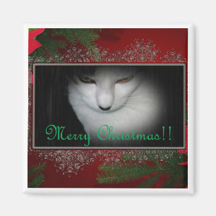 Miezekatze-Liebhaber-Weihnachten!! Magnet