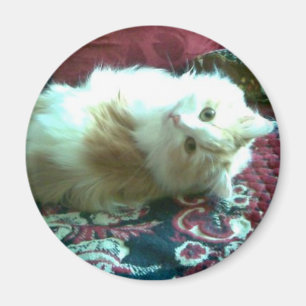 Miezekatze Magnet
