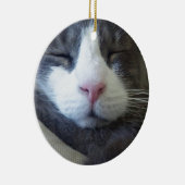 Miezekatze mit dem rosa Nasenschlafen Keramikornament (Rechts)