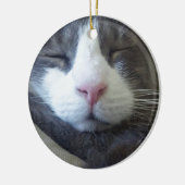 Miezekatze mit dem rosa Nasenschlafen Keramikornament (Links)