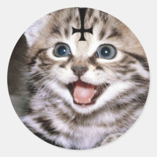 Miezekatze Runder Aufkleber