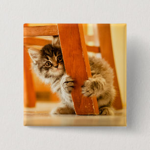 Miezekatze unter Stuhl Button