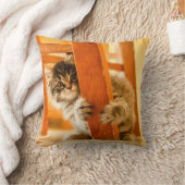 Miezekatze unter Stuhl Kissen (Decke)