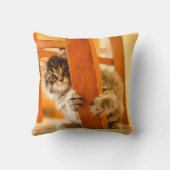 Miezekatze unter Stuhl Kissen (Rückseite)