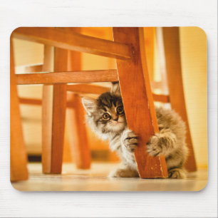 Miezekatze unter Stuhl Mousepad
