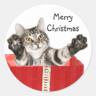 Miezekatze-Weihnachtsumarmung Runder Aufkleber