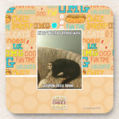 Miezekatze-Wünsche Getränkeuntersetzer (Vorderseite)