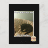 Miezekatze-Wünsche Postkarte (Vorderseite)