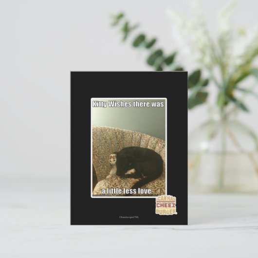 Miezekatze-Wünsche Postkarte (Stehend Vorderseite)