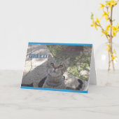 Miezekatzekarte Fräuleins You Karte (Gelbe Blume)