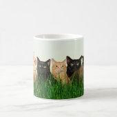 Miezekatzekatzen im Gras Kaffeetasse (Mittel)