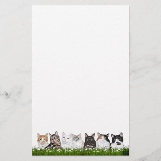 Miezekatzekatzen in den Gänseblümchen Briefpapier (Vorderseite)