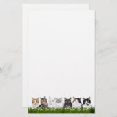 Miezekatzekatzen in den Gänseblümchen Briefpapier (Vorne/Hinten)