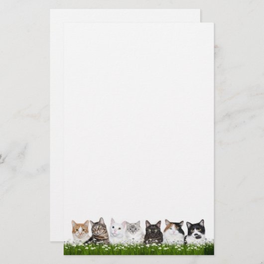 Miezekatzekatzen in den Gänseblümchen Briefpapier (Vorne/Hinten)