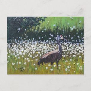 Migating Sandhill Cranes Postkarte