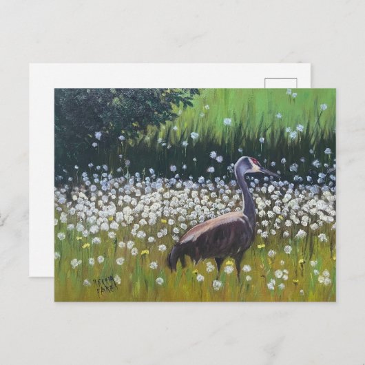 Migating Sandhill Cranes Postkarte (Vorne/Hinten)
