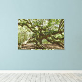 Mighty Angel Oak Leinwanddruck (Insitu (Holzboden))