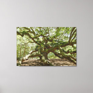 Mighty Angel Oak Leinwanddruck