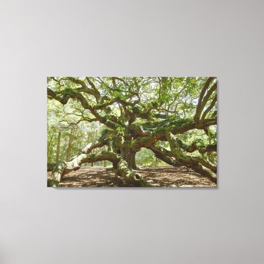 Mighty Angel Oak Leinwanddruck (Vorderseite)