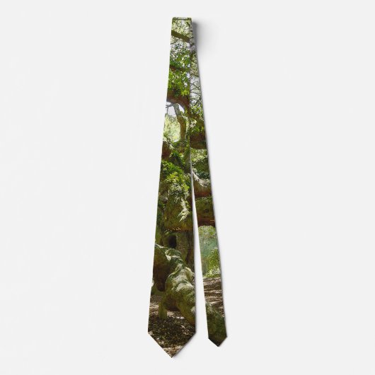 Mighty Angel Oak Neck Tie Krawatte (Vorderseite)