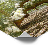 Mighty Angel Oak Poster (Ecke)