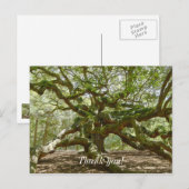 Mighty Angel Oak Postkarte (Vorne/Hinten)