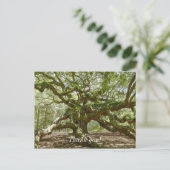 Mighty Angel Oak Postkarte (Stehend Vorderseite)