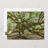 Mighty Angel Oak Postkarte (Vorne/Hinten)