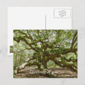 Mighty Angel Oak Postkarte (Vorne/Hinten)