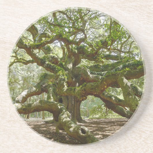Mighty Angel Oak Sandstein Untersetzer (Vorne)