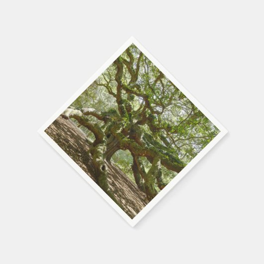 Mighty Angel Oak Serviette (Ecke)