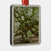 Mighty Angel Oak Silbernes Ornament (Rechts)